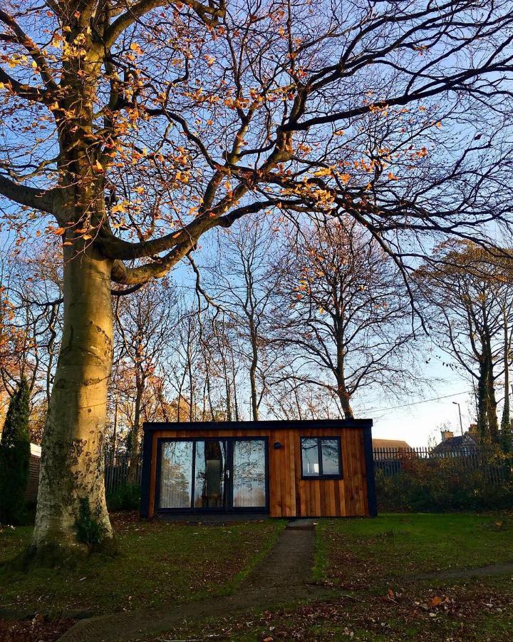 Cozy Snowdonia Chalet 卡纳芬 外观 照片